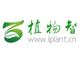 球吉利|iPlant 植物智——植物物种信息系统